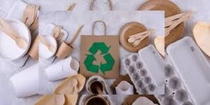Sustainable Lifestyle 2025
