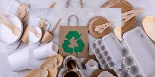 Sustainable Lifestyle 2025