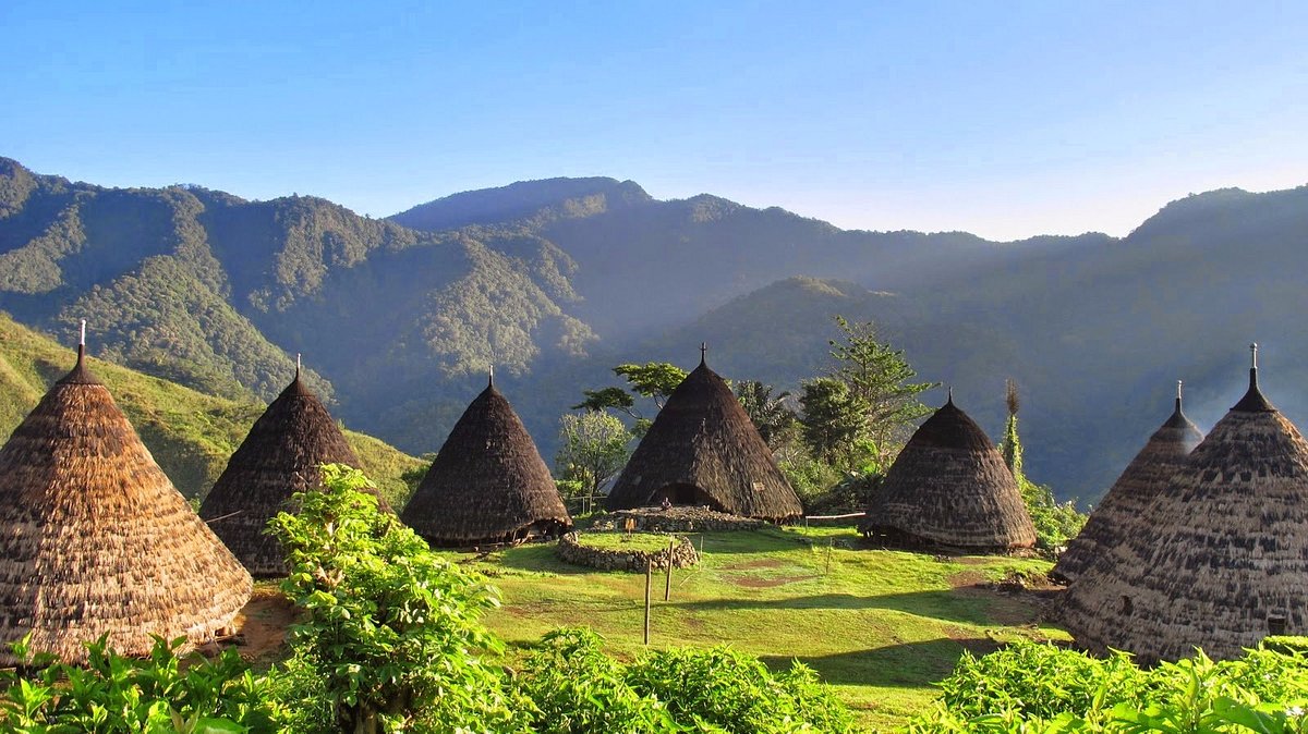 Traveling Hijau